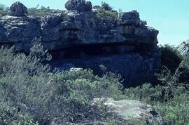 UCT RSA MDF8 1