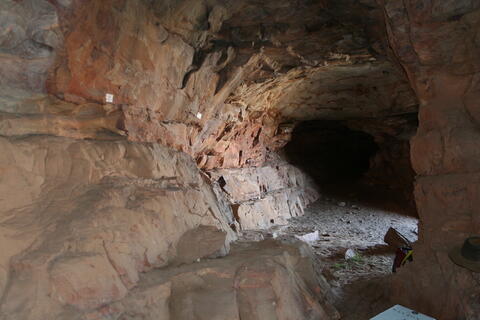 Open original Digital object