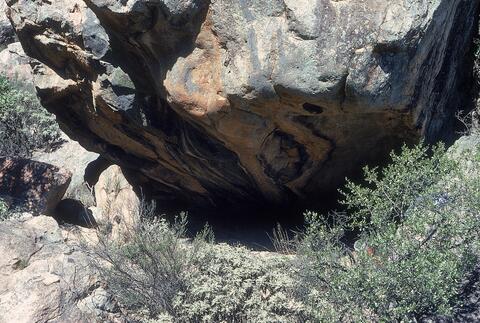 Open original Digital object