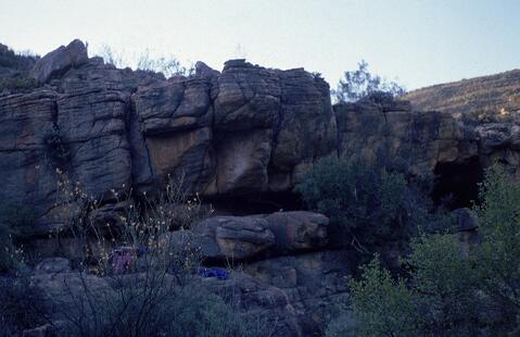 Open original Digital object