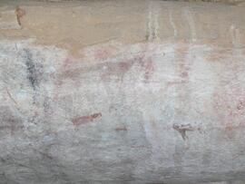 UCT RSA ELI17 127D