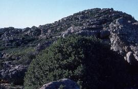 UCT RSA CMP2 1