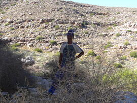 UCT RSA MBM6 1D