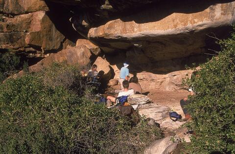 Open original Digital object