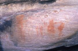 UCT RSA ELI39 2