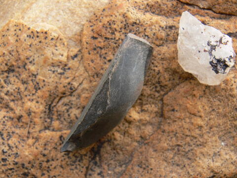 Open original Digital object