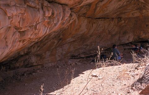 Open original Digital object