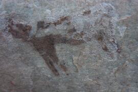 UCT RSA ELI17 31D