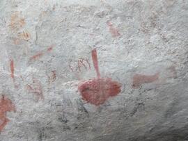 UCT RSA ELI17 114D
