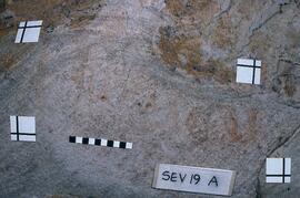 UCT RSA SEV31 1