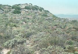 UCT RSA CMP1 3