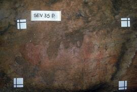 UCT RSA SEV45 44