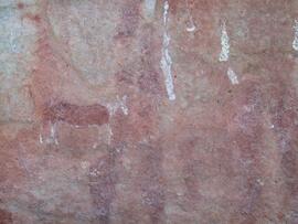 UCT RSA ELI17 11D