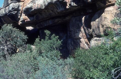 Open original Digital object