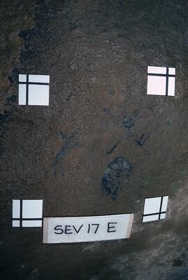 UCT RSA SEV19 5