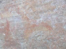 UCT RSA ELI17 241D
