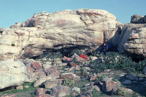 Open original Digital object