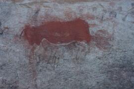 UCT RSA ELI17 29D