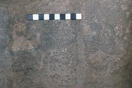 UCT RSA SEV48 11