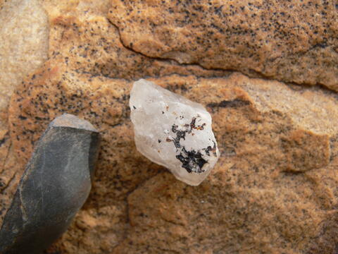 Open original Digital object