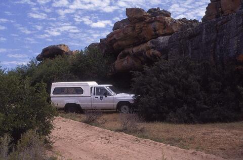 Open original Digital object