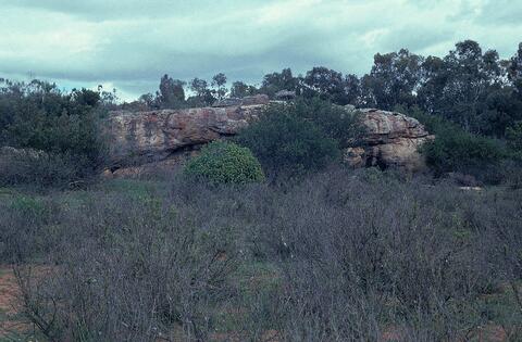 Open original Digital object