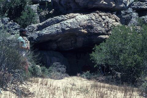 Open original Digital object