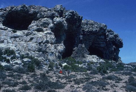 Open original Digital object