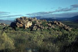 UCT RSA GTF1 5