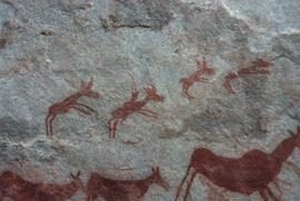 UCT RSA ELI12 14D