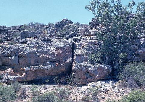 Open original Digital object