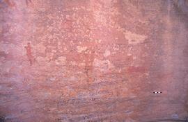 UCT RSA BRF12 2