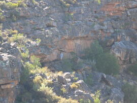 UCT RSA HGB4 1D