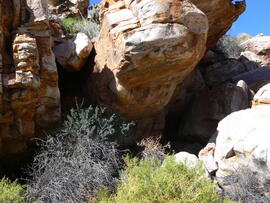 UCT RSA DSF1 5D