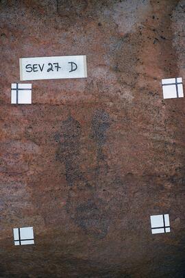 UCT RSA SEV37 7