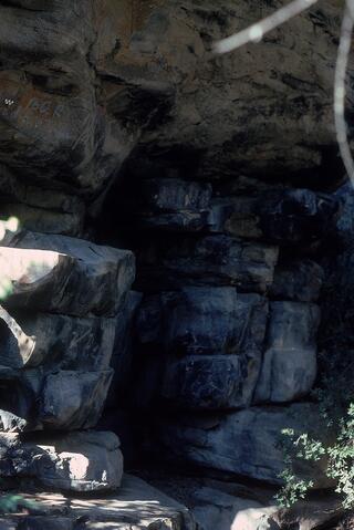 Open original Digital object