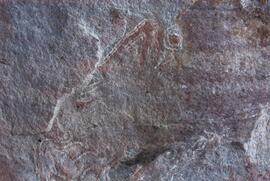 UCT RSA ELI17 38D