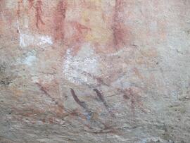 UCT RSA ELI17 196D