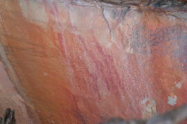 UCT RSA NAT1 42D