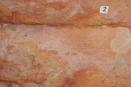 UCT RSA NAT5 32D