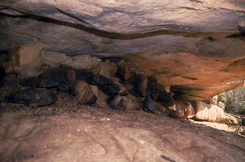 Open original Digital object