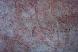 UCT RSA ELI17 41D