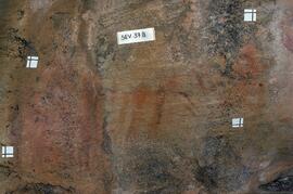 UCT RSA SEV47 3