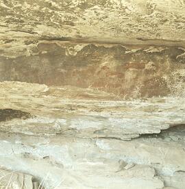 RARI PJV RSA ALI2 3H