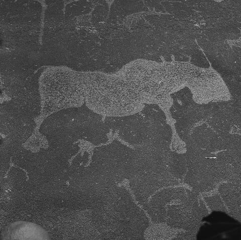 Open original Digital object