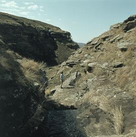 RARI PJV RSA ALI2 2H