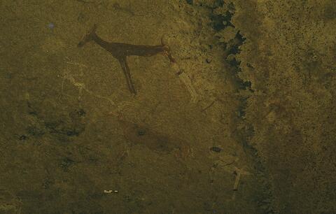 Open original Digitaal object