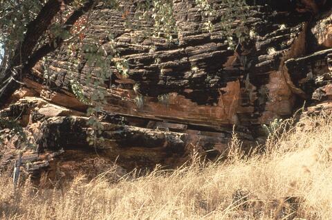 Open original Digital object