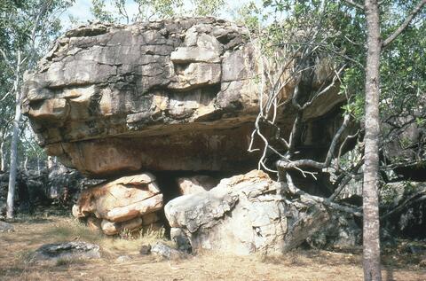 Open original Digital object