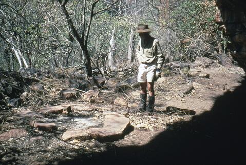 Open original Digital object